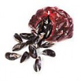 /products/musle-slavka-jedla-jumbo-chlaz-1x1kg-sit/